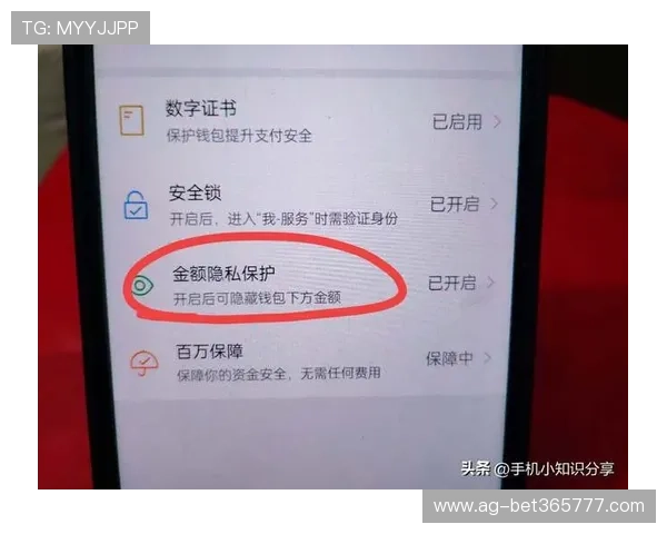 bet365备用网址官网安全指南,保障您的账号信息和资金安全 bet365备用网址官网安全指南,保障您的账号信息和资金安全