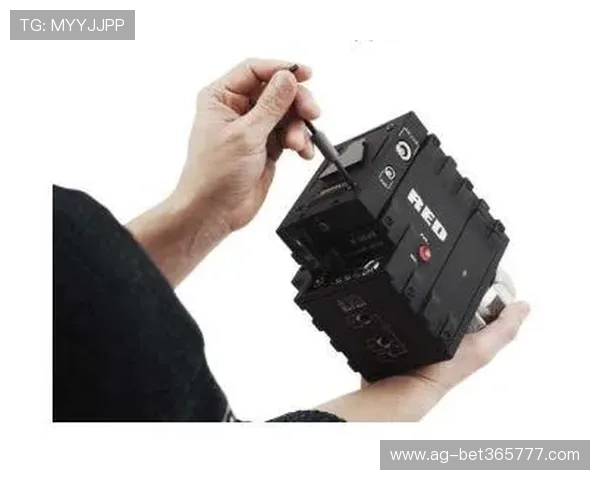 如何顺利进行365网站登录步骤详解新手必备操作指南