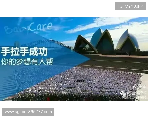 365国际平台为中小企业提供一站式国际市场入口,轻松开启海外业务