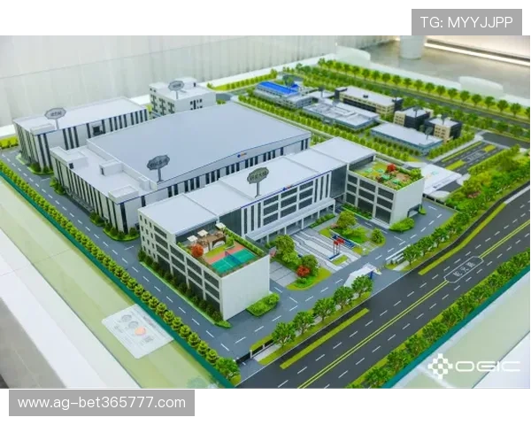 365登录平台未来发展方向及创新功能预览