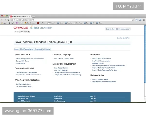 yin bet网址登录线路如何选择最优通道攻略