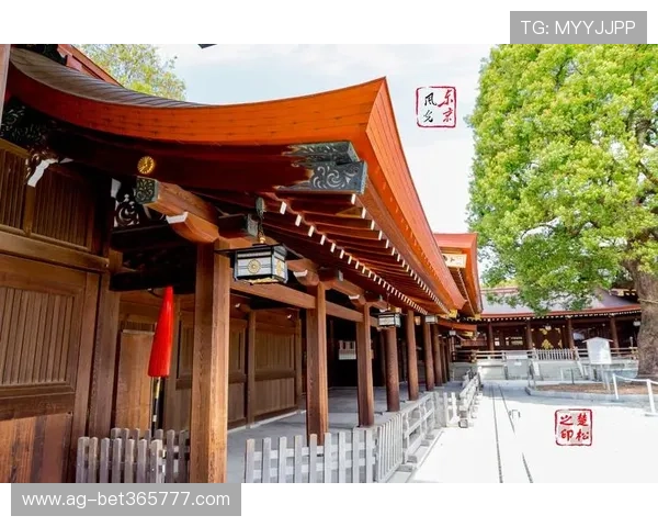 了解12BET官网网页版的注册流程和使用指南轻松开启您的娱乐之旅