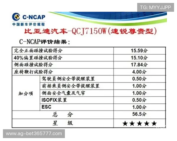 全面解析12bet官网中文平台的优势与用户口碑评价