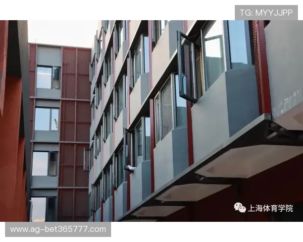 三升体育推动校园体育改革的具体措施与成功案例分享 三升体育推动校园体育改革的具体措施与成功案例分享