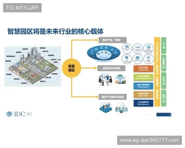 八方体育市场分析：体育娱乐行业未来发展趋势与用户需求变化